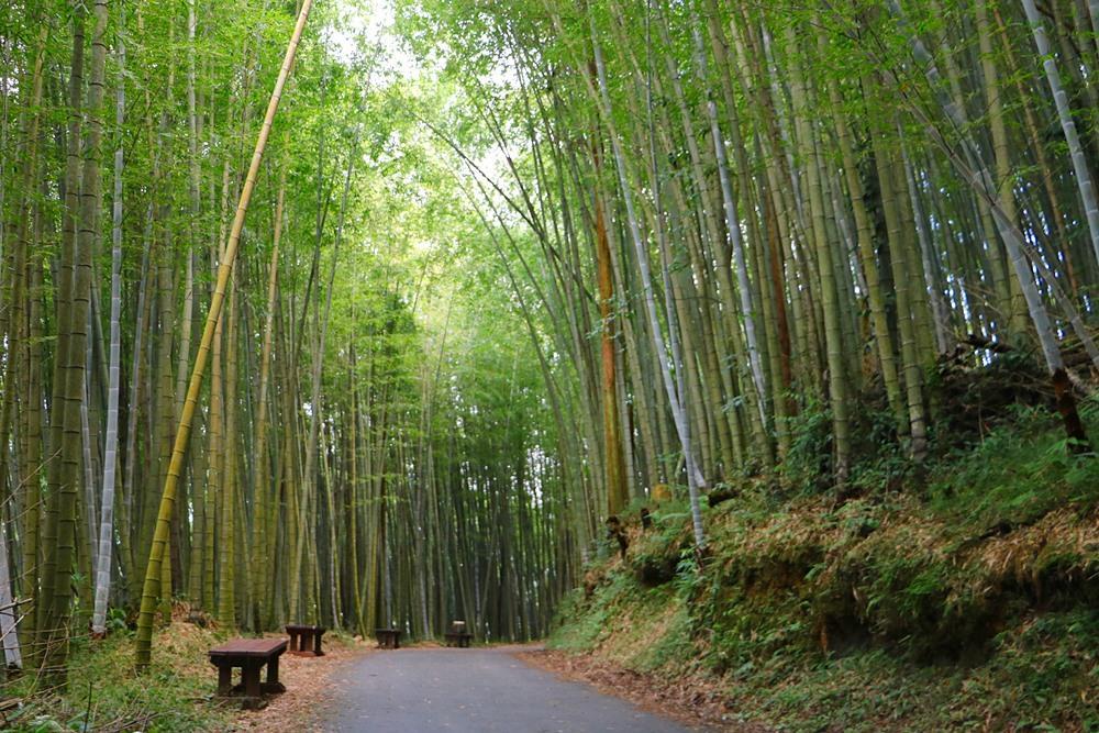 梅山乡赖坤阳的家公寓 外观 照片